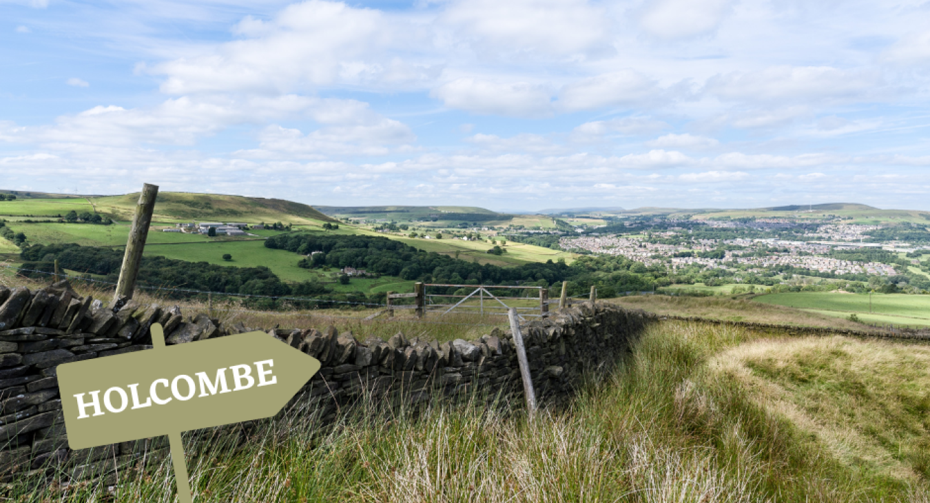 Electrician in Holcombe