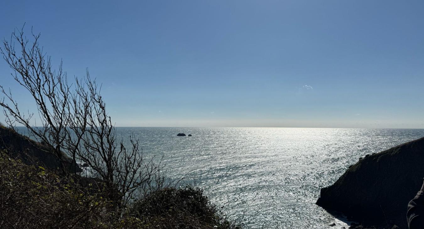 ing Devon’s Stunning Coastline – A Well-Deserved Day Of - A M Electrics